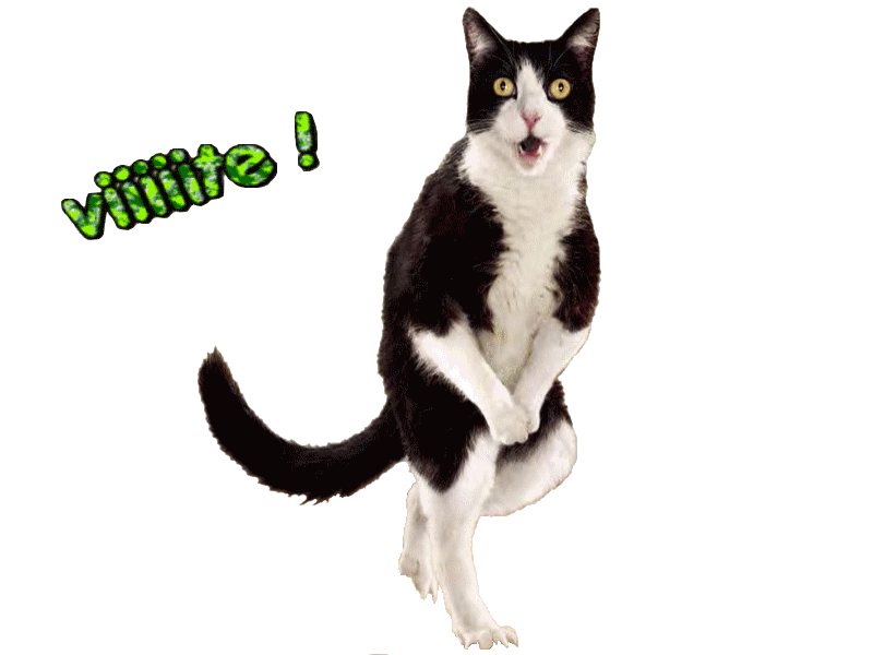 animaux creaanimation Page 7