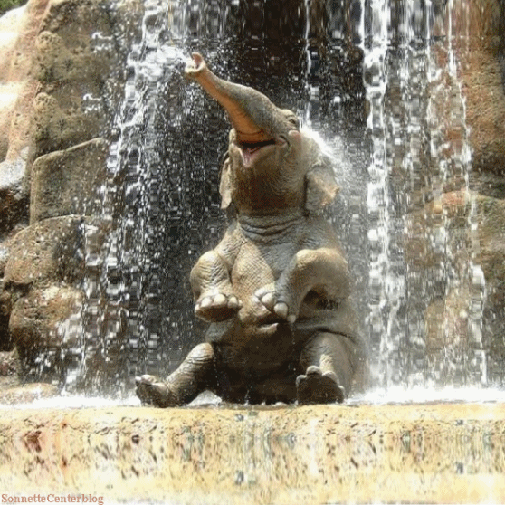 Résolu Petit jeu " SI J'ÉTAIS... JE SERAIS..." Page 12 Le Forum