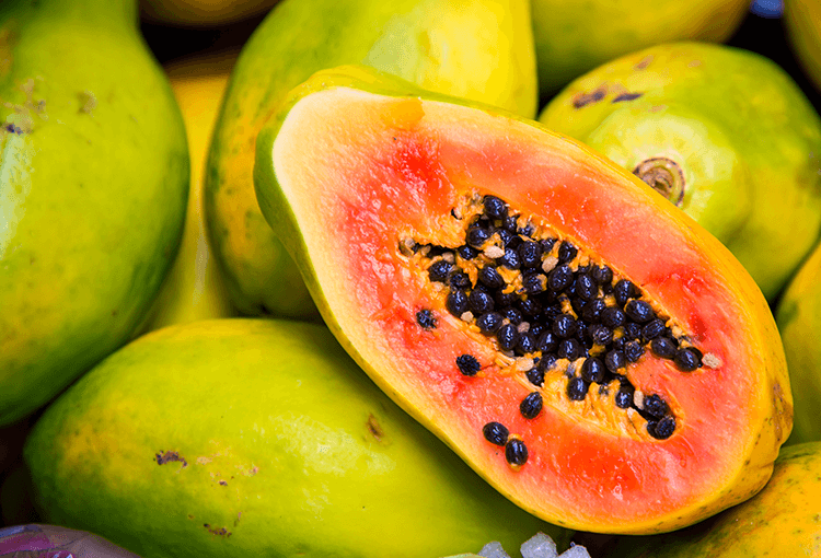 Brazil Factory Sono Global