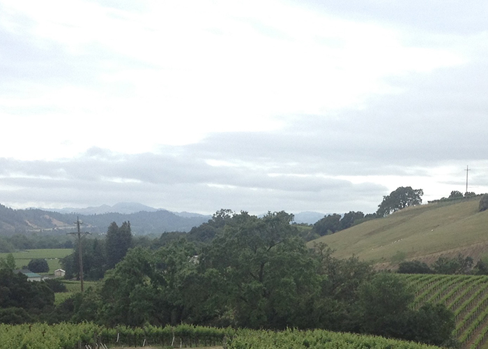 Alexander Valley Sonoma Resource Conservation District