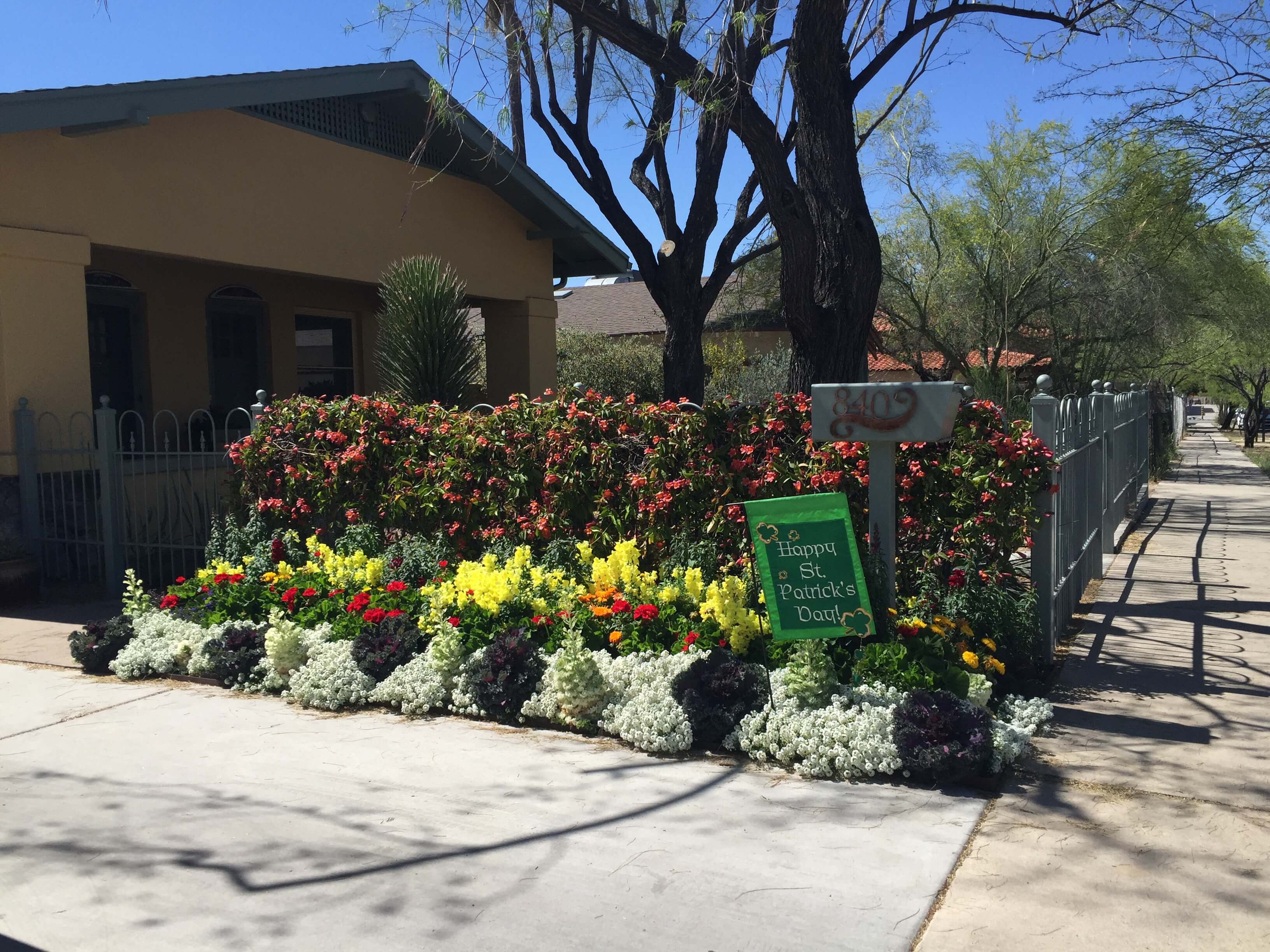 Pots Tucson, AZ Sonoran Gardens Inc.