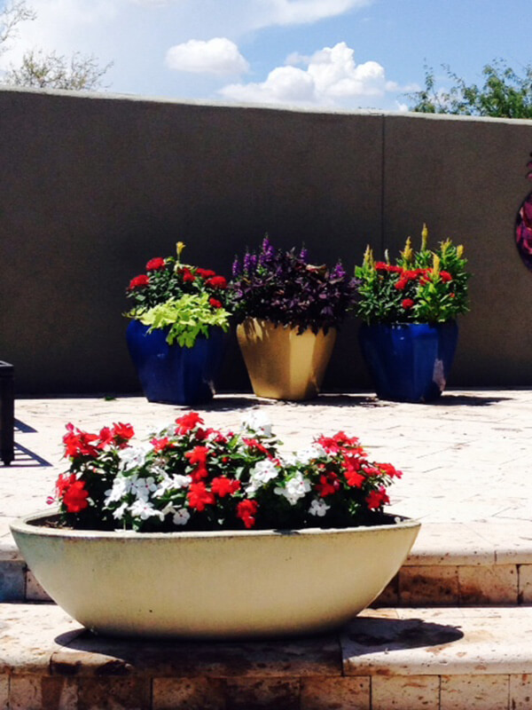 Pots Tucson, AZ Sonoran Gardens Inc.
