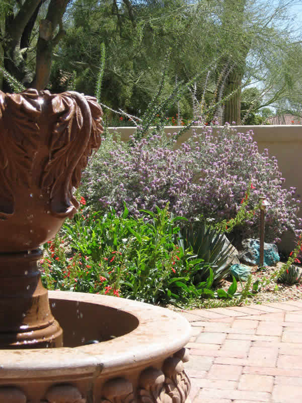Landscape Design Tucson, AZ Sonoran Gardens Inc.