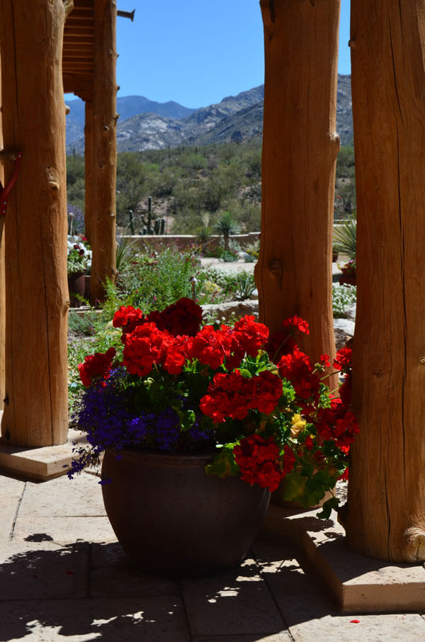 Pots Tucson, AZ Sonoran Gardens Inc.