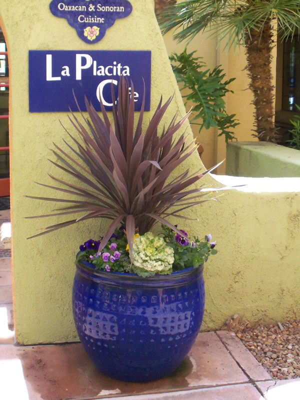 Pots Tucson, AZ Sonoran Gardens Inc.