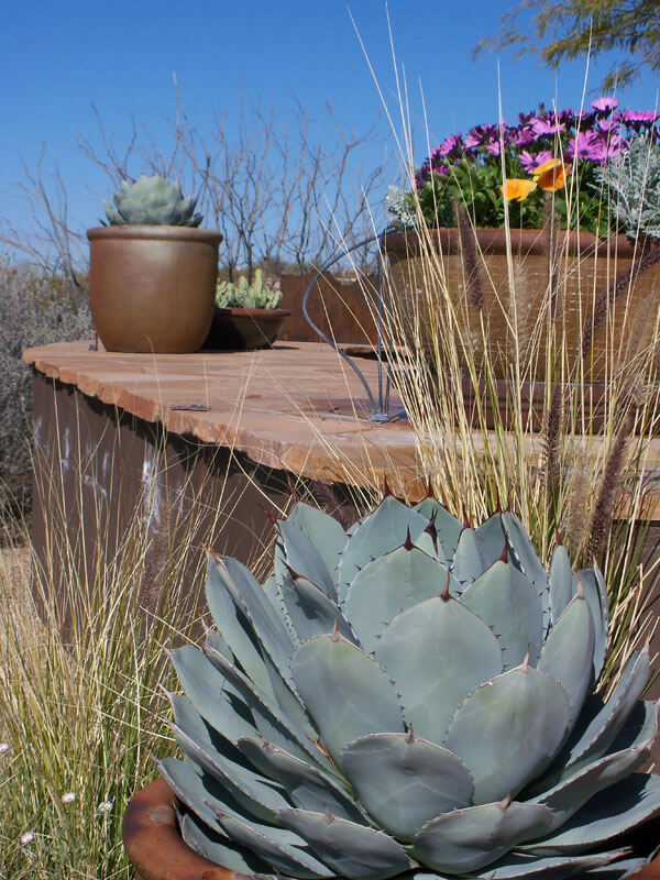 Pots Tucson, AZ Sonoran Gardens Inc.