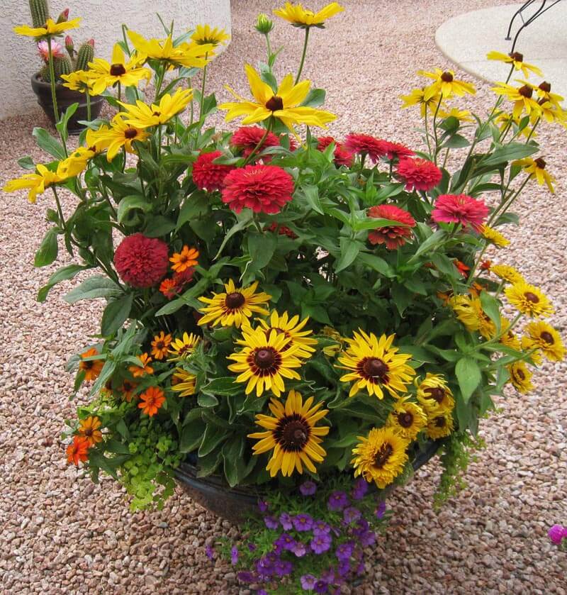 Pots Tucson, AZ Sonoran Gardens Inc.