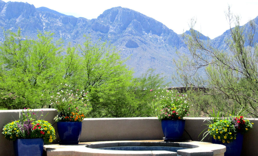 Pots Tucson, AZ Sonoran Gardens Inc.