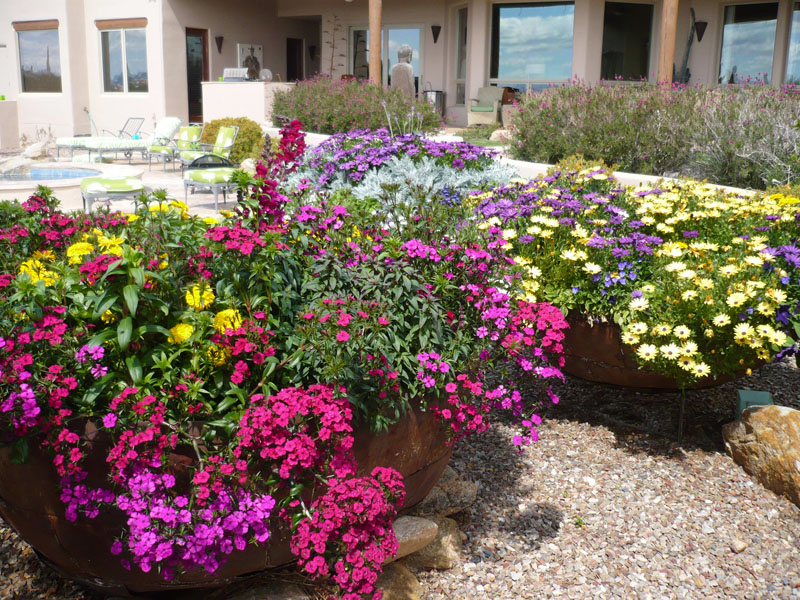 Pots Tucson, AZ Sonoran Gardens Inc.