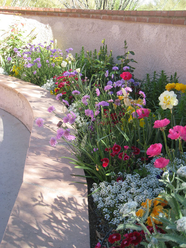 Pots Tucson, AZ Sonoran Gardens Inc.