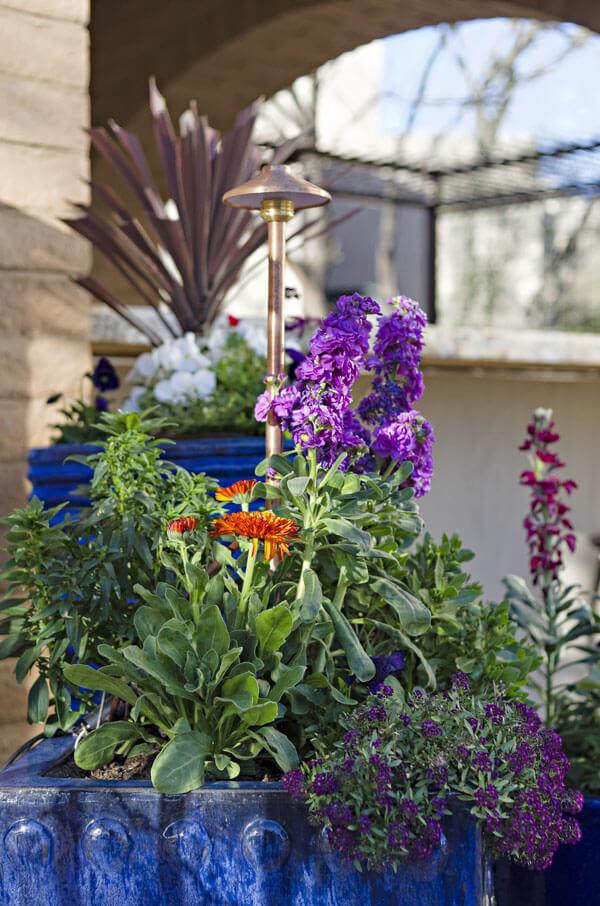 Pots Tucson, AZ Sonoran Gardens Inc.