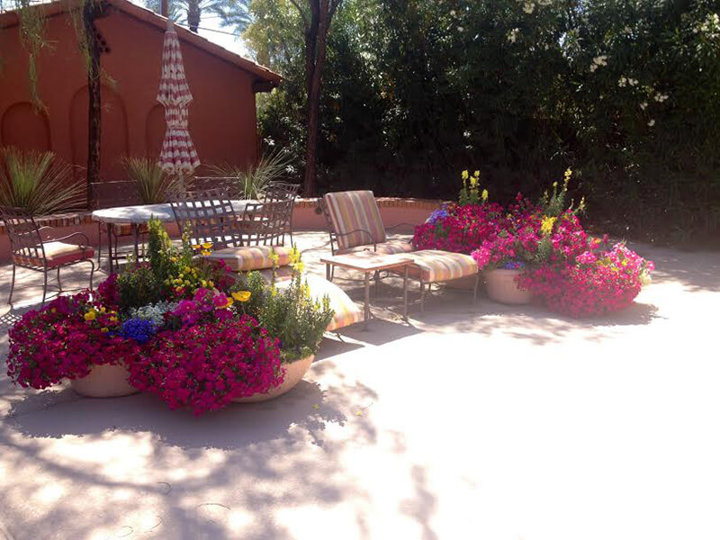 Pots Tucson, AZ Sonoran Gardens Inc.