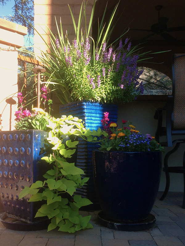 Pots Tucson, AZ Sonoran Gardens Inc.