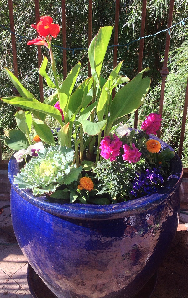 Pots Tucson, AZ Sonoran Gardens Inc.