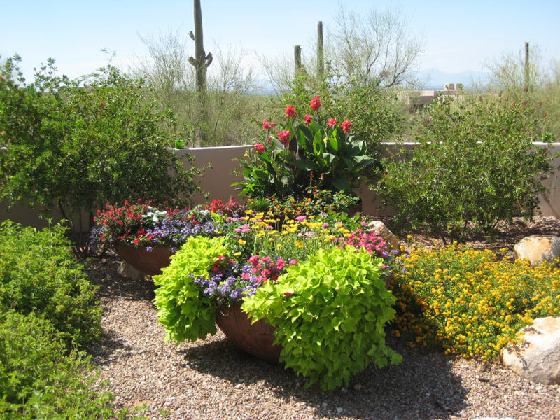 Pots Tucson, AZ Sonoran Gardens Inc.
