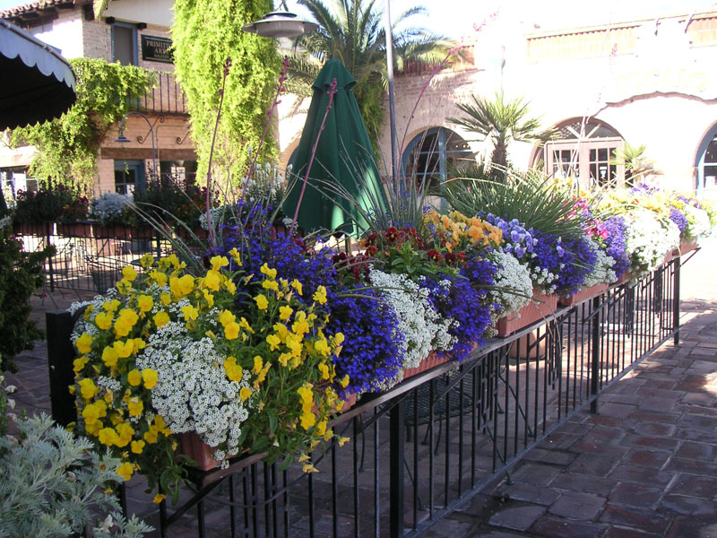 Pots Tucson, AZ Sonoran Gardens Inc.
