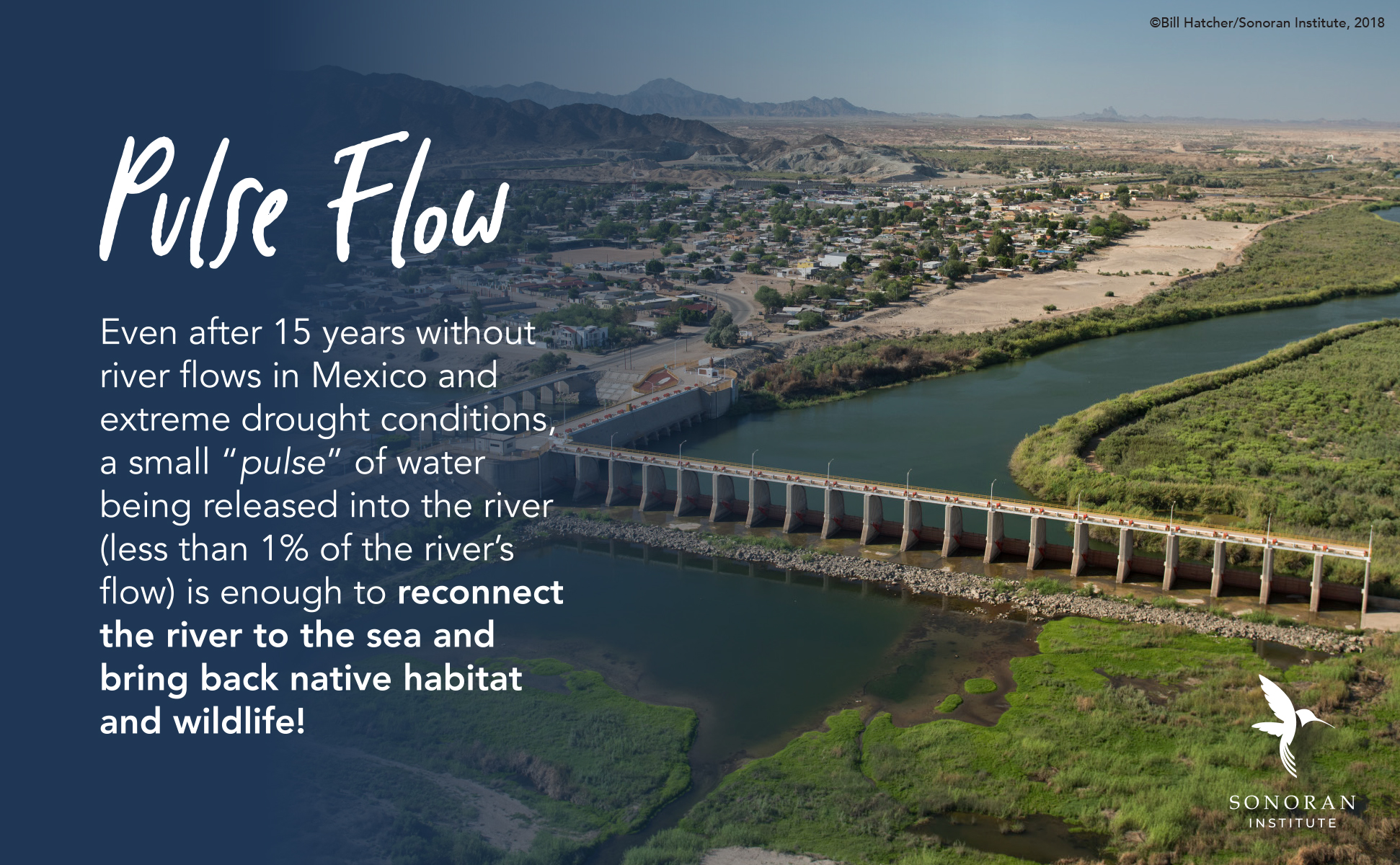 Collaboration Drives Results for Colorado River Delta Restoration