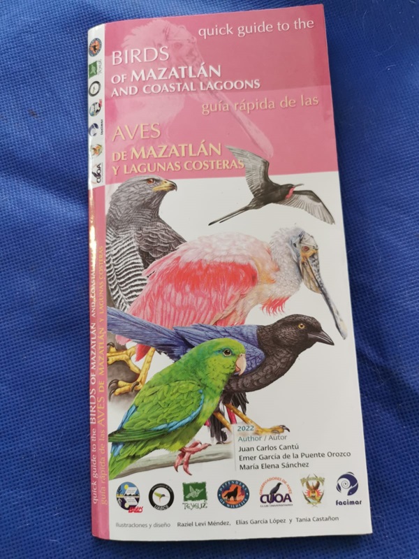 Guía Rápida de las Aves de Mazatlán 