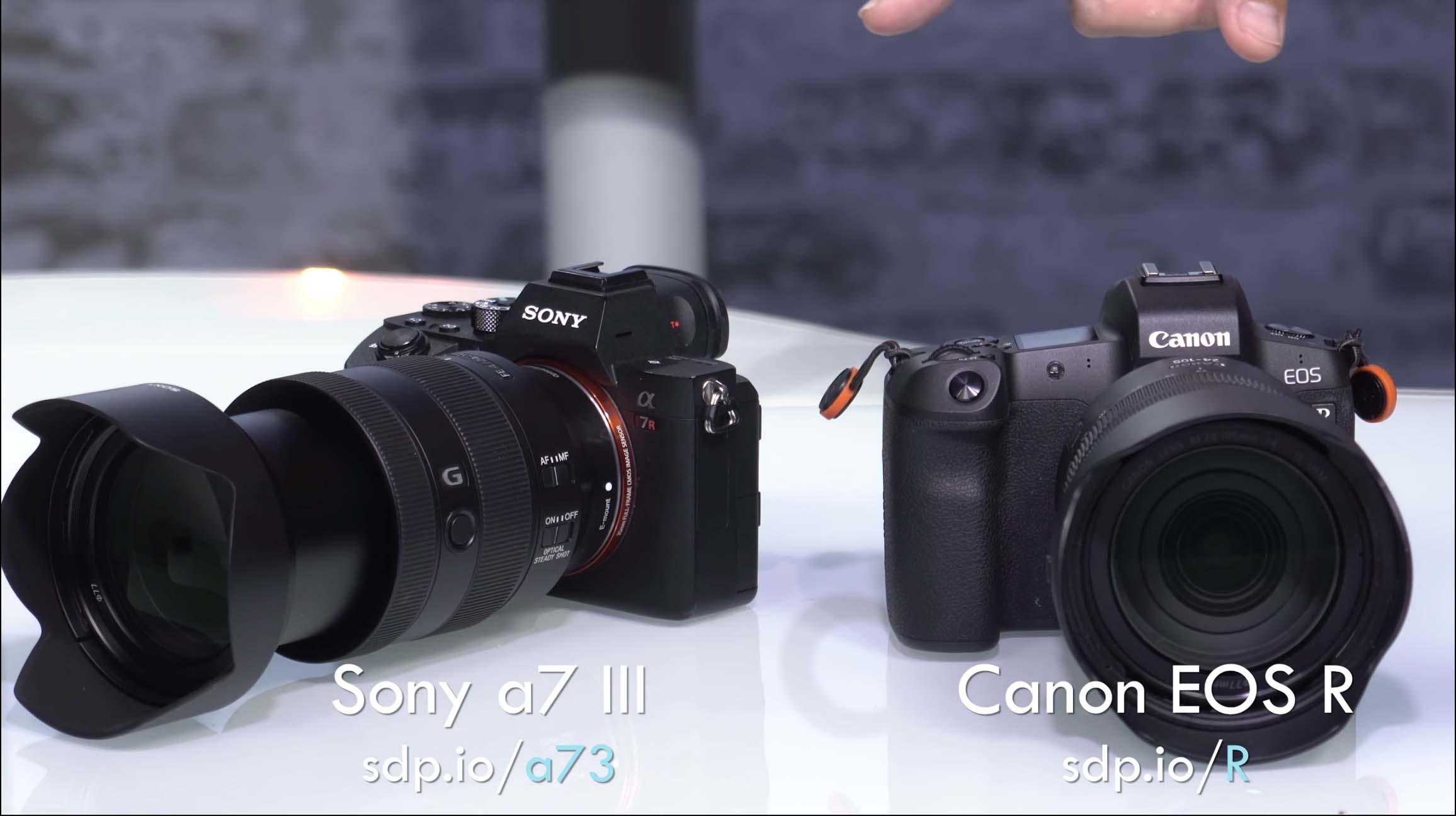 Canon EOS R vs Sony a7 III Review Sony Addict