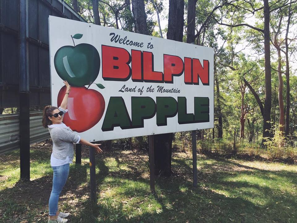 How do you like them apples? Bilpin Apple Picking