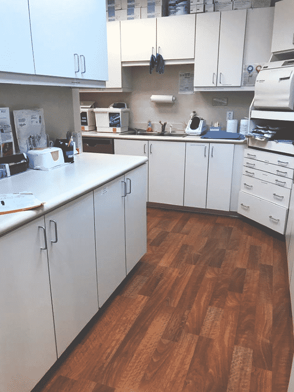 SPPI Professional Interior Painting Atlanta, GA