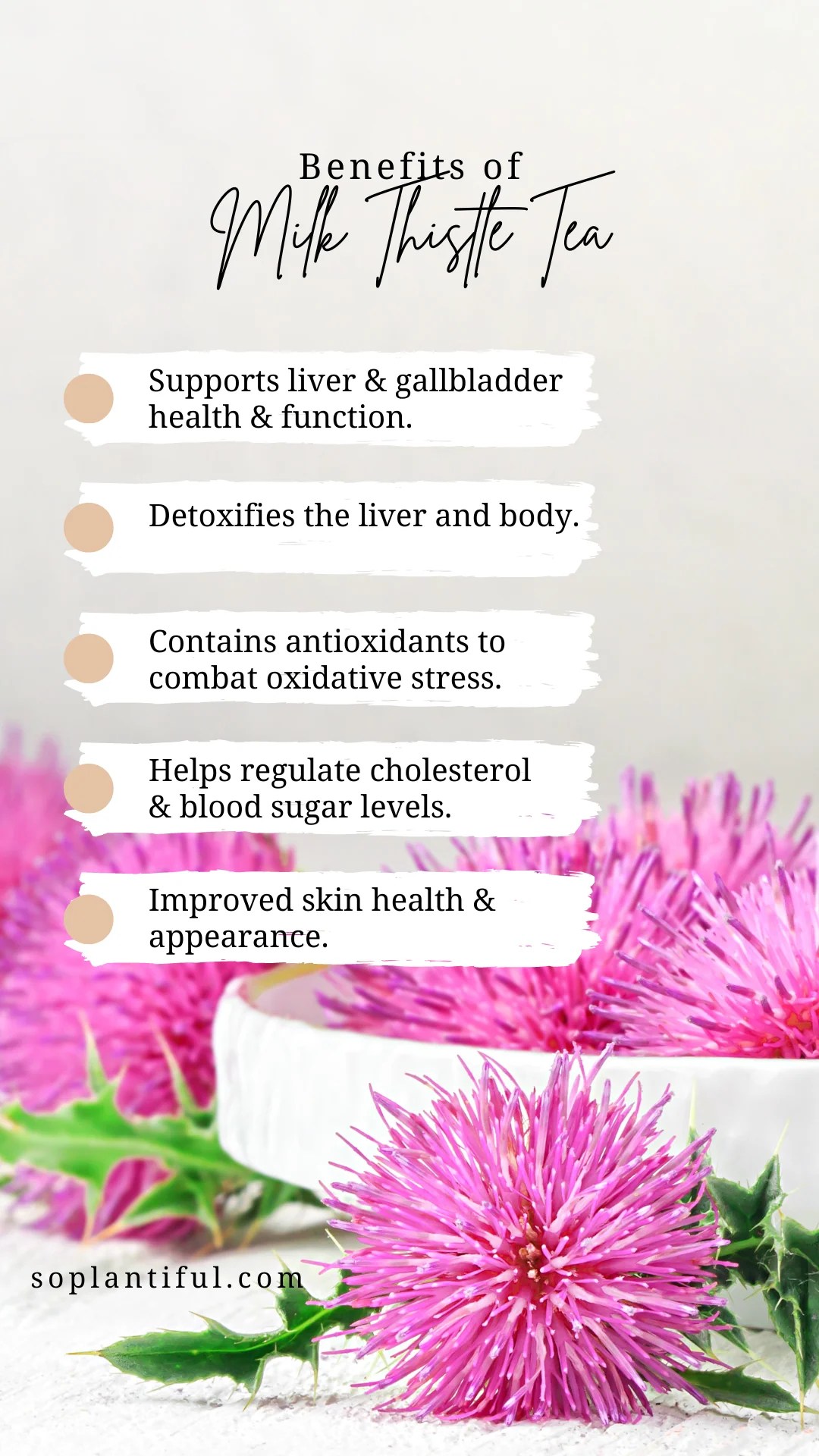 Milk Thistle Tea Thistle Tea So Plantiful