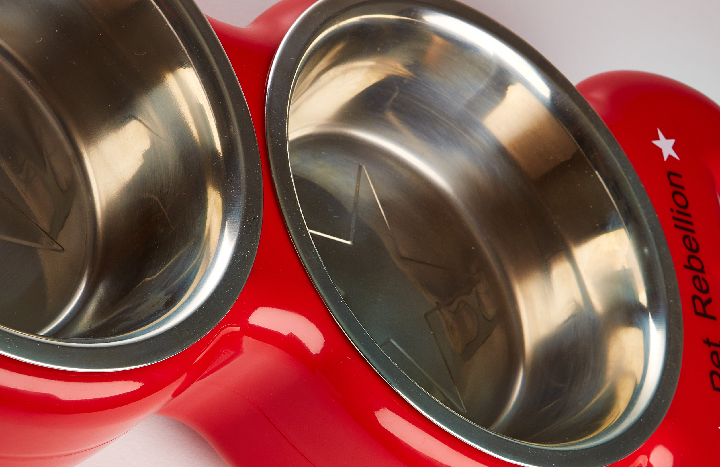 Pet Rebellion Sorcit