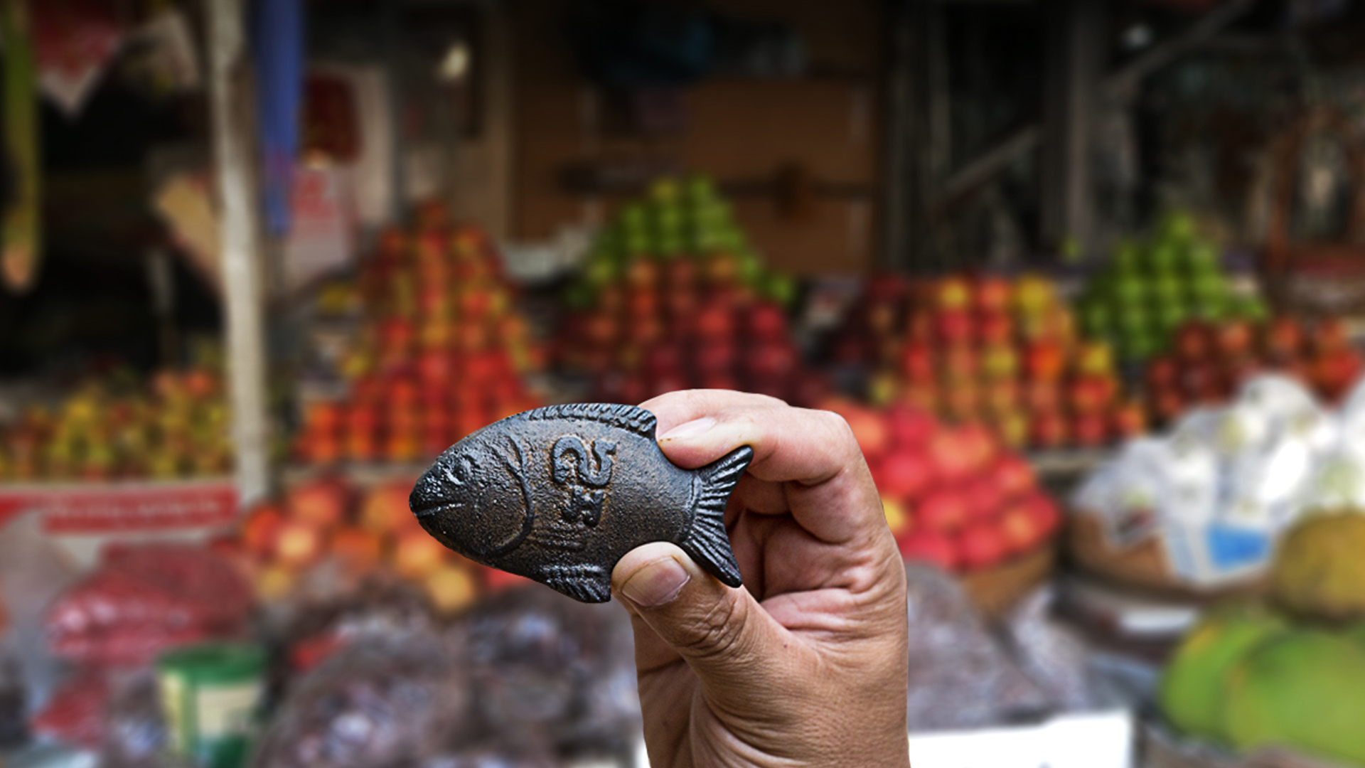 The Little Iron Fish that made it big Sorcit