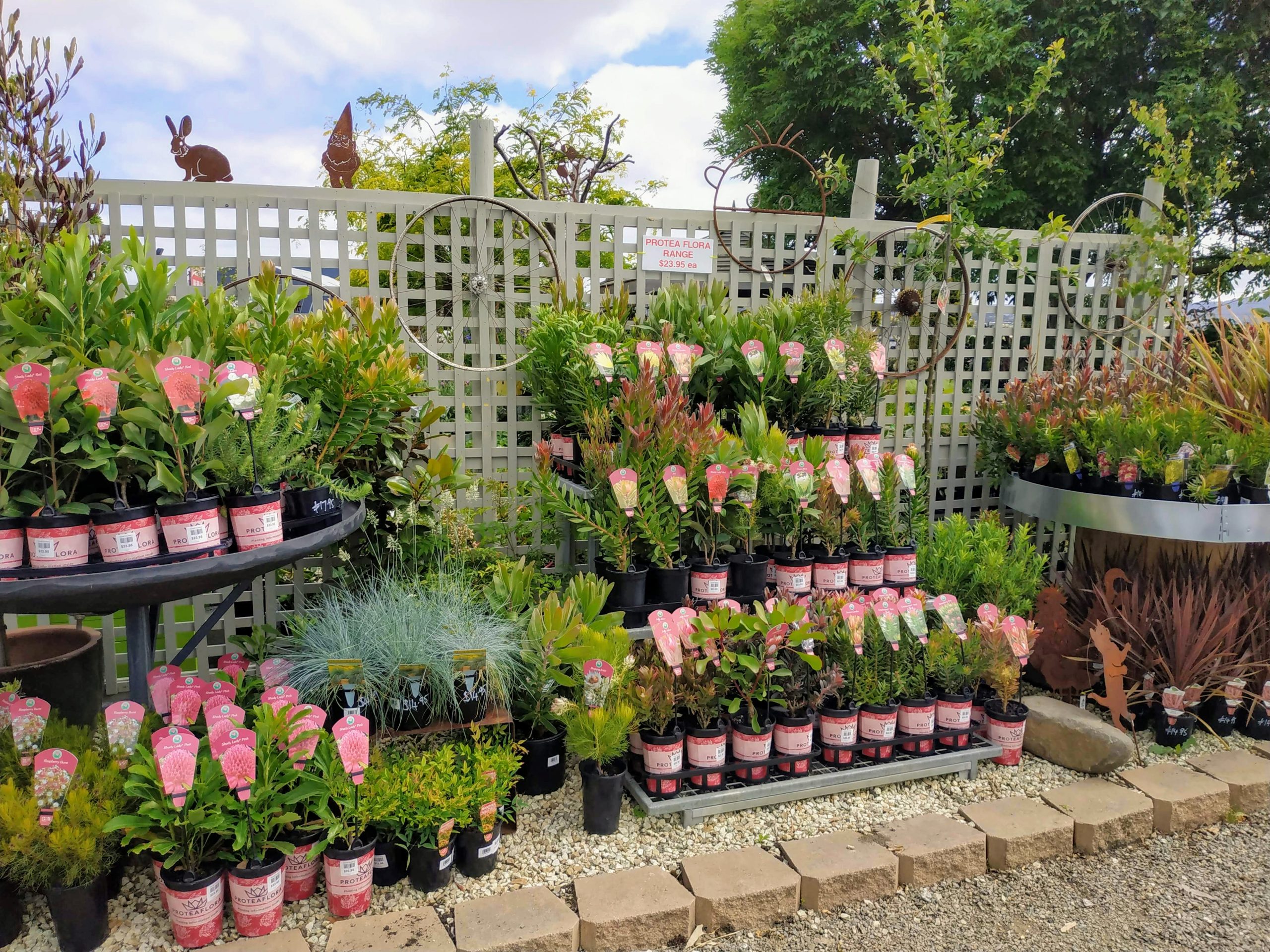 Contact Sorell Nursery and Landscape Supplies