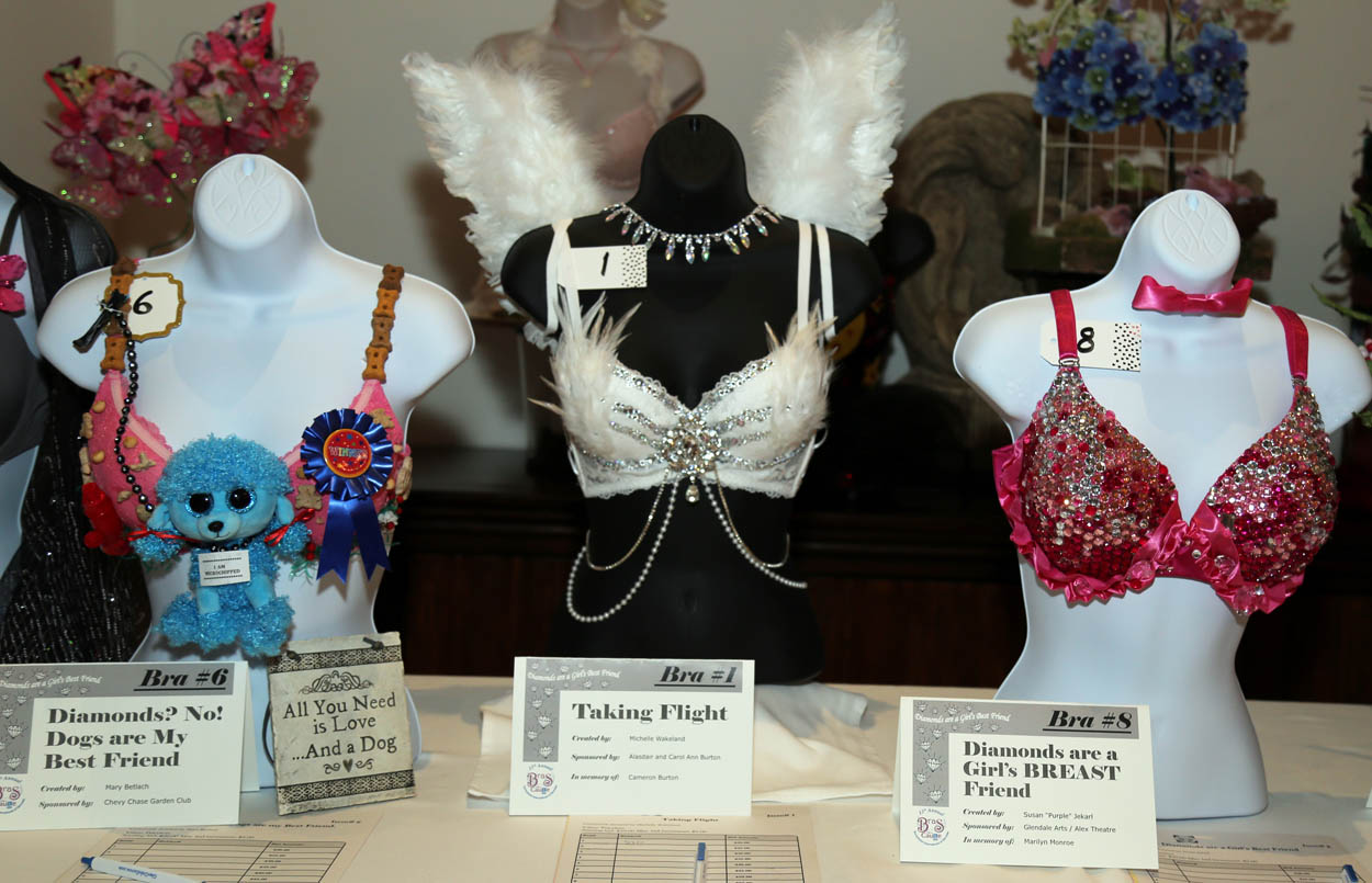 Bras for A Cause 2018 Soroptimist International of Glendale