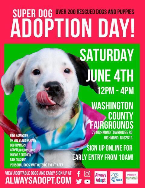 Super Dog Adoption Day 2023 Super Dog Adoption Day