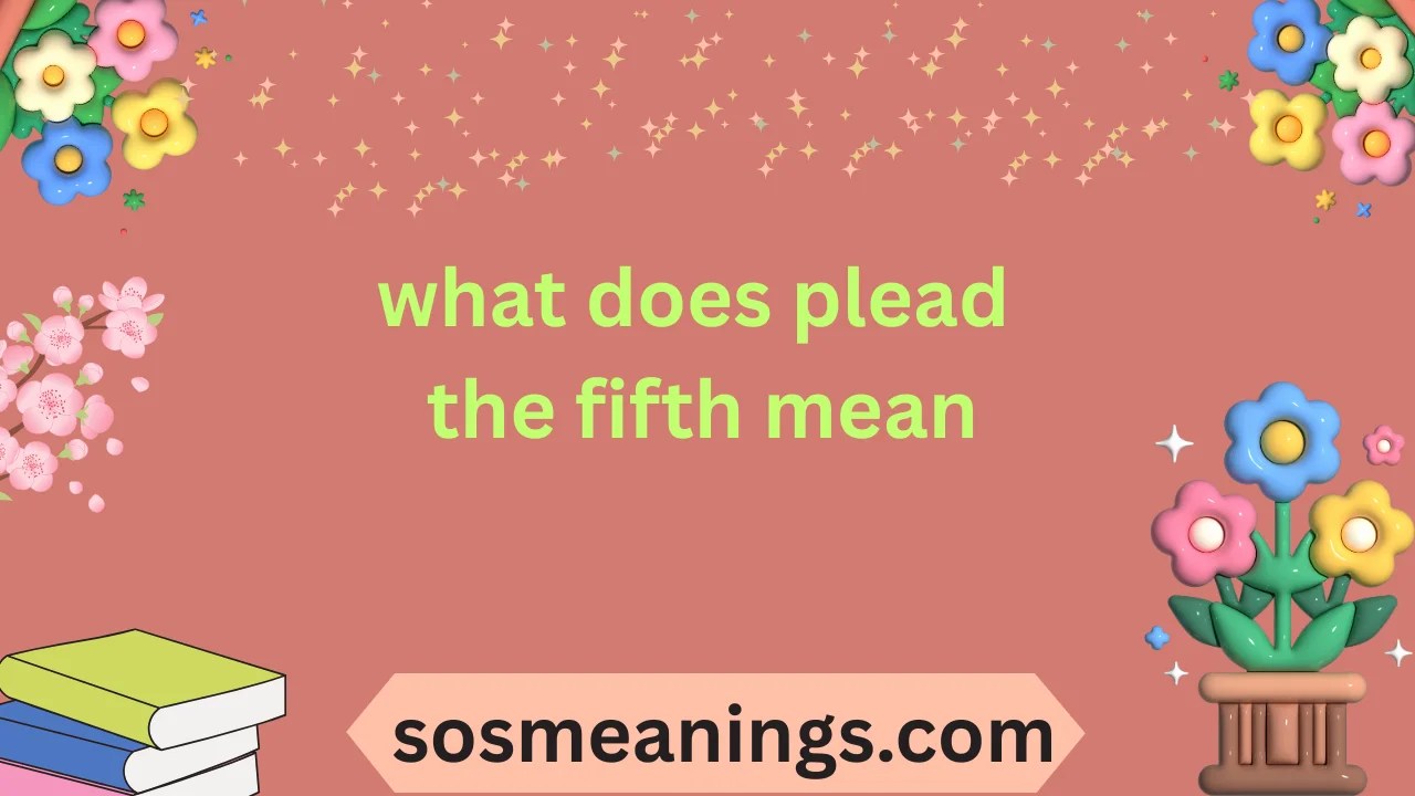 What Does Plead The Fifth Mean Explained 202526