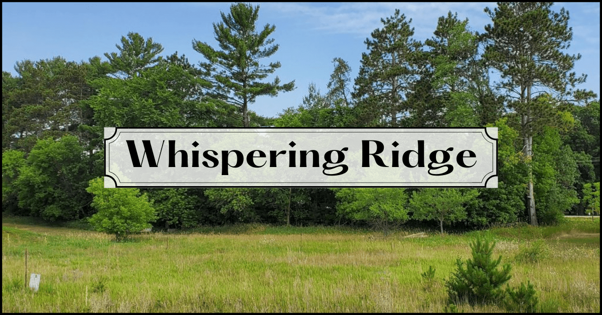 Hillside Estates Sota Homes