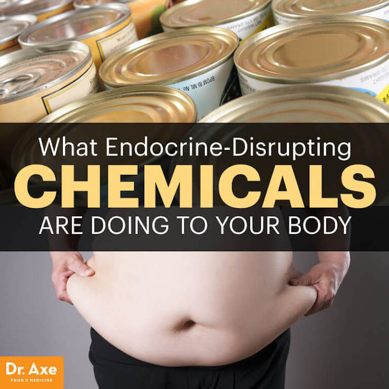 How Endocrine Disruptors destroy your body Health & Wellness