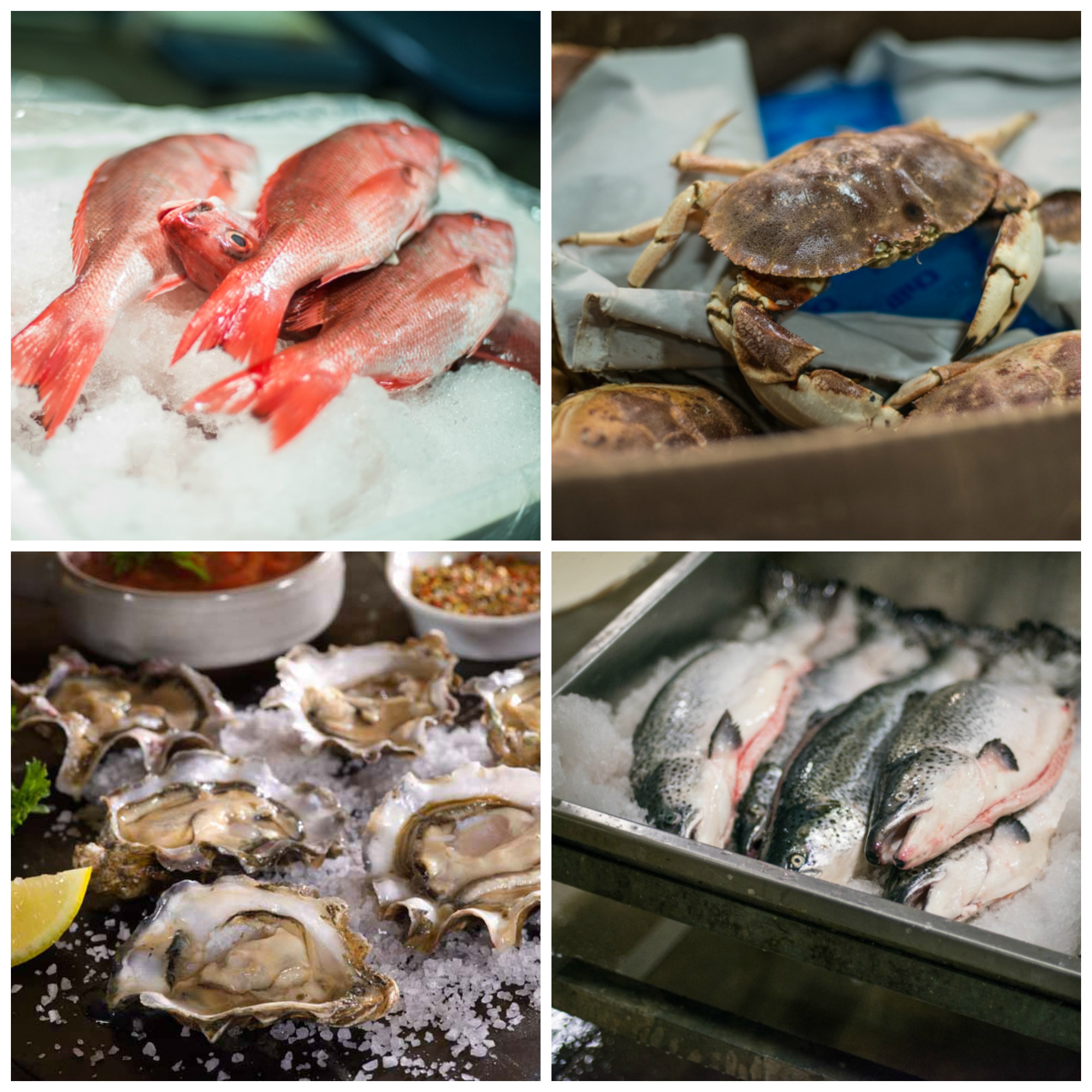 What Does Fish Oils Do For The Body Tile Fish Kosher