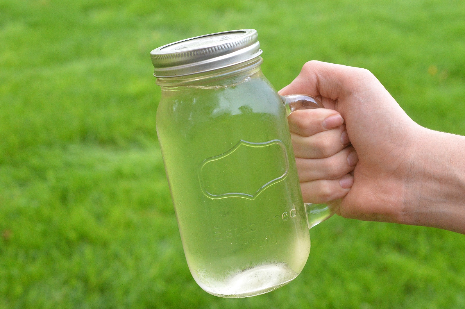 Low Carb Vodka Drink Homemade Lime Vodka Coolers