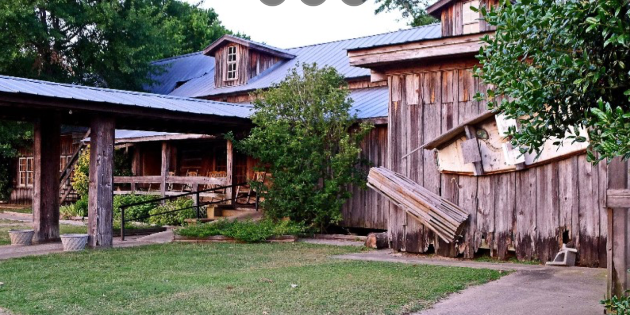 Find the best fried catfish and coleslaw at Ezell's Fish Camp Soul Grown