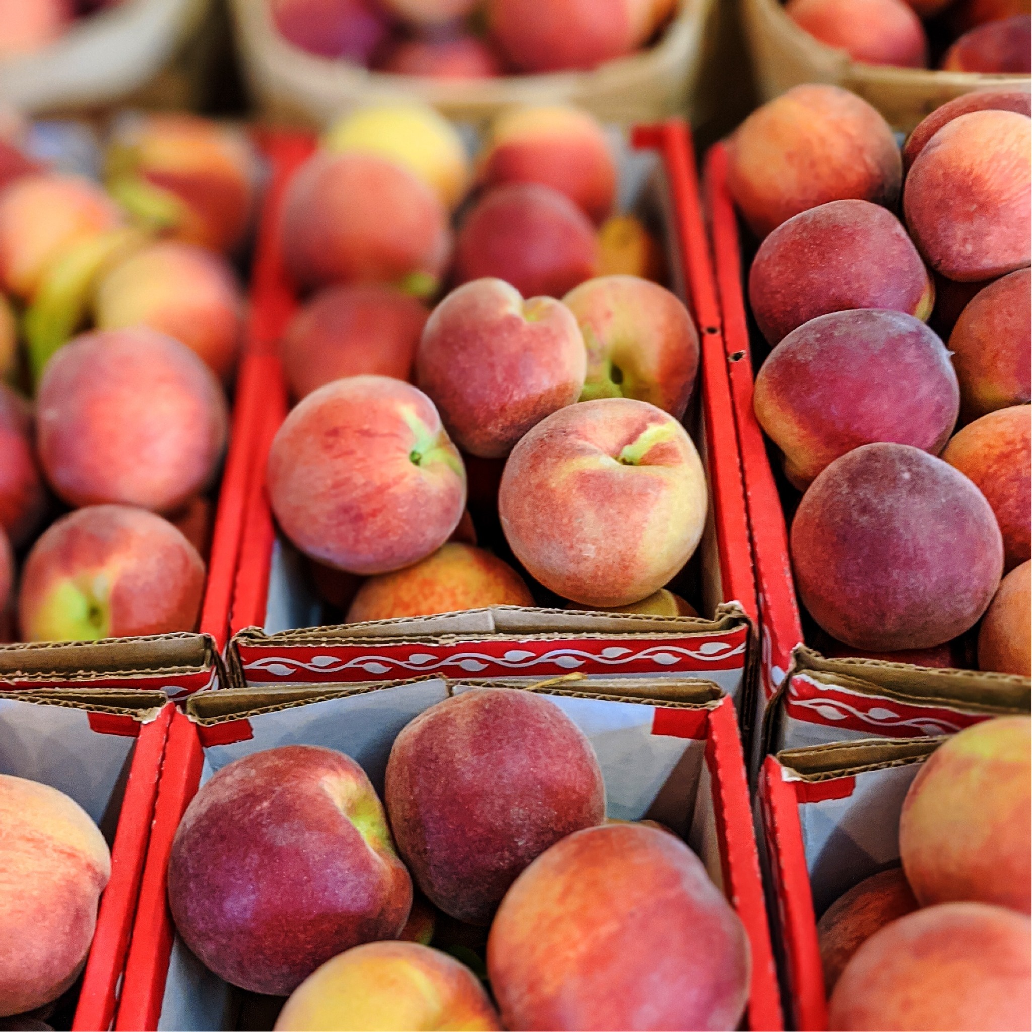 Your allseasons guide to upick fruit in Alabama SoulGrown