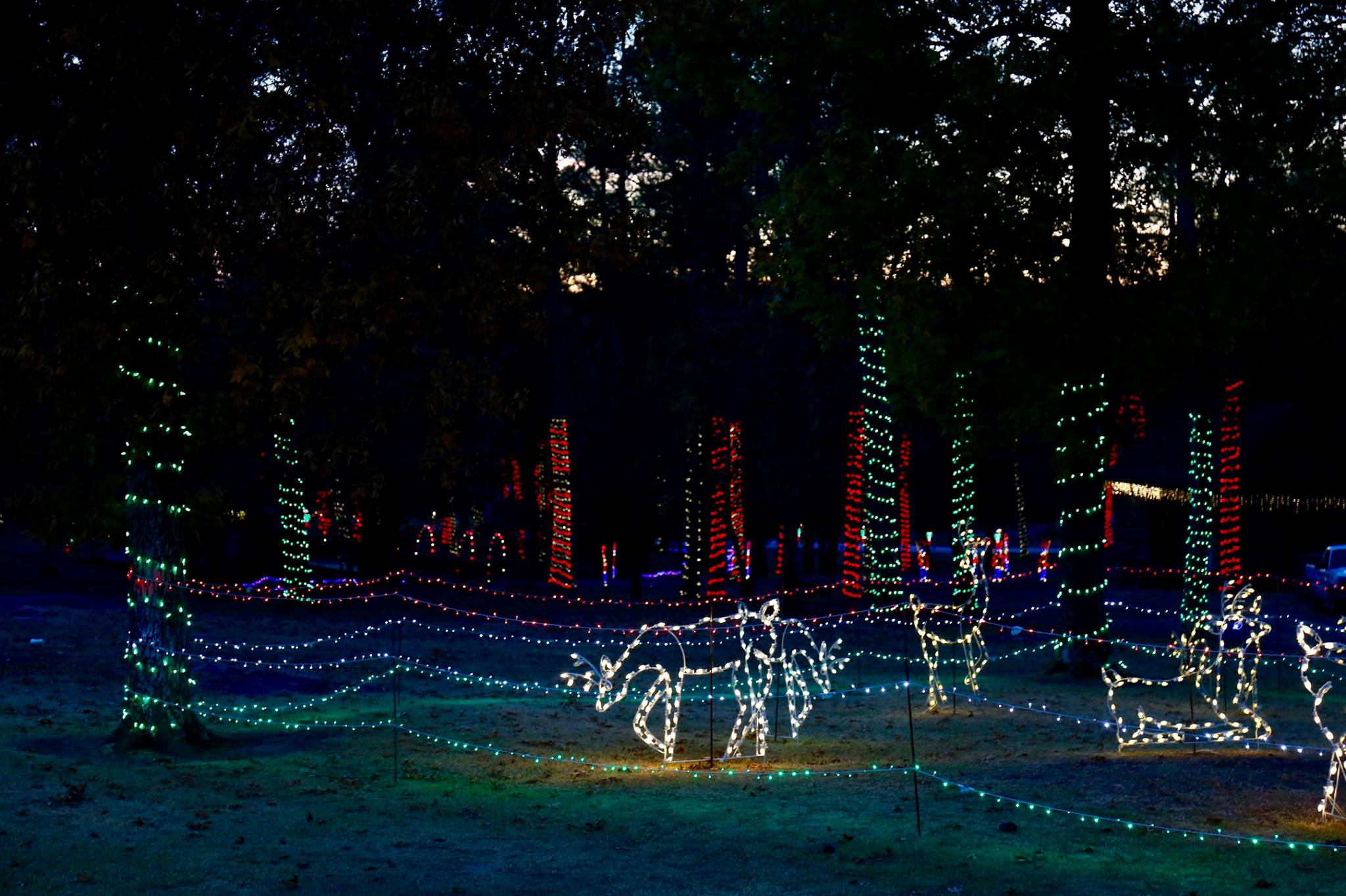 Where to see Alabama's best holiday light displays SoulGrown