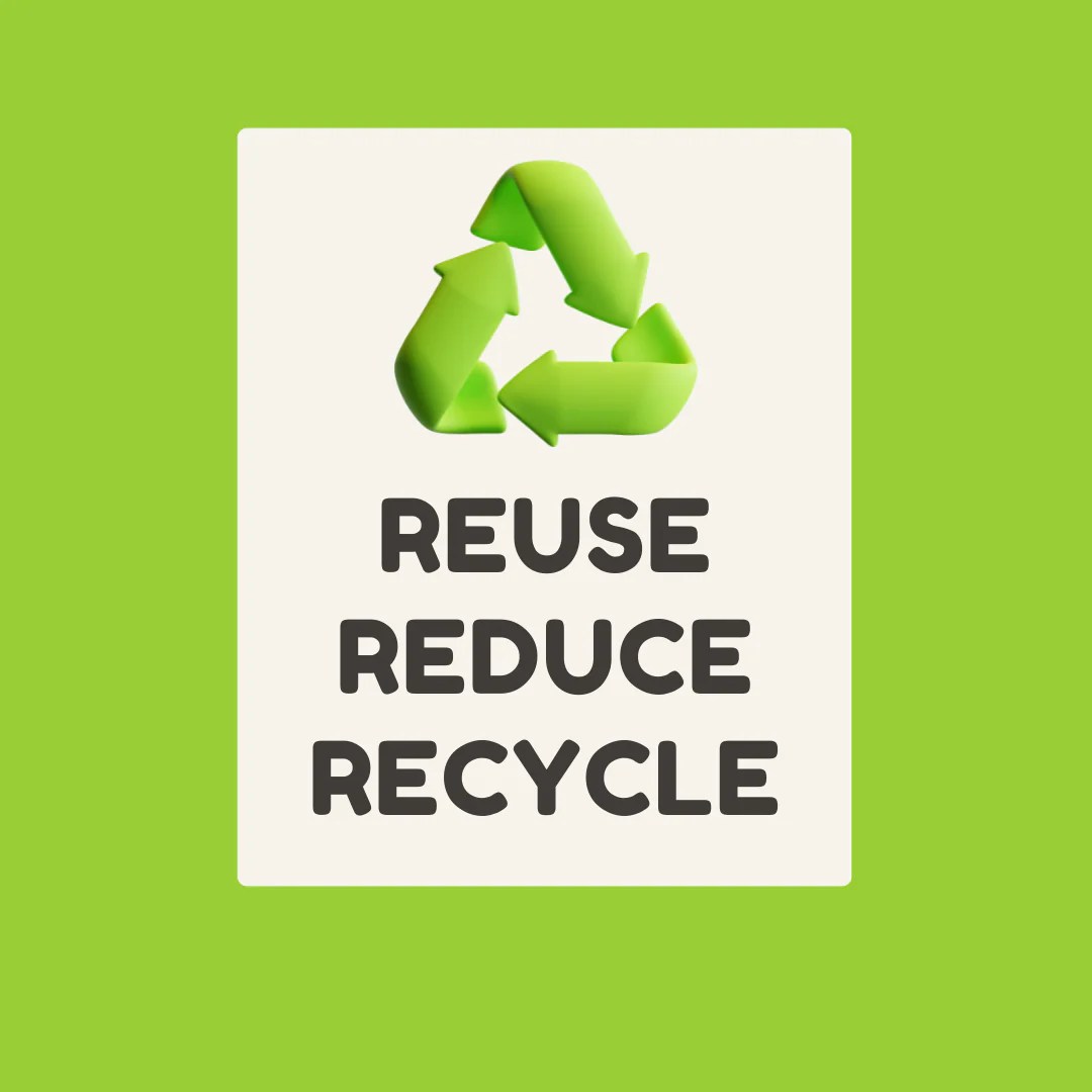 Exciting News Embracing Sustainable and Recyclable Packaging