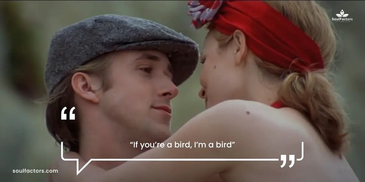 30 The Notebook Quotes You Must Reread Every Now & Then!