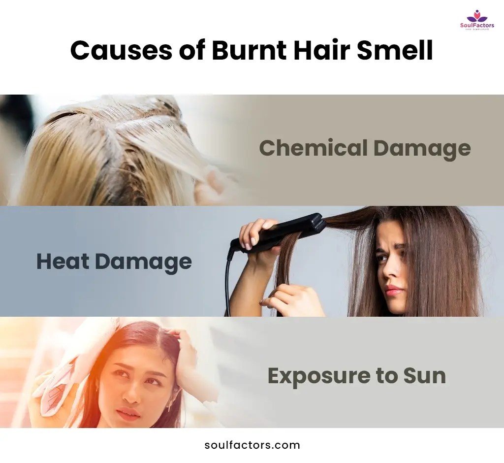 Why Does My Hair Smell Burnt Investigating The Culprits!
