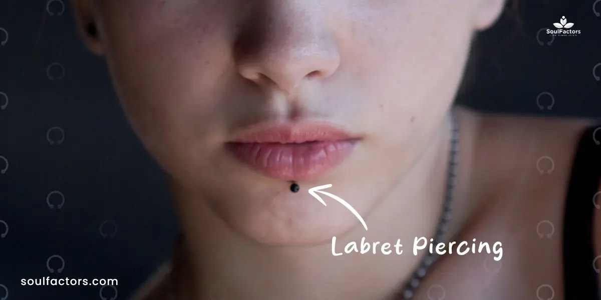 Labret Piercing 101 A Beginner's Guide!