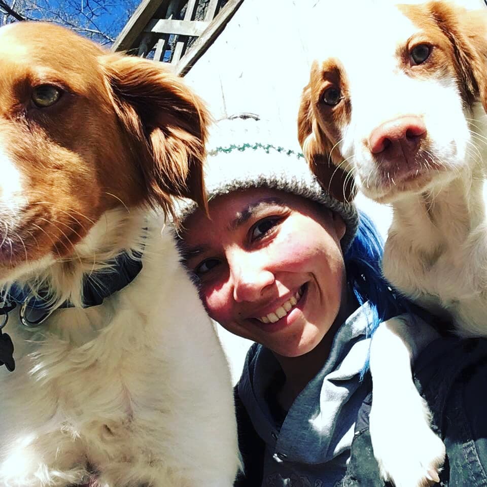Soulmutts Toronto Ltd. Dog Walking, Dog Daycare & Dog Boarding