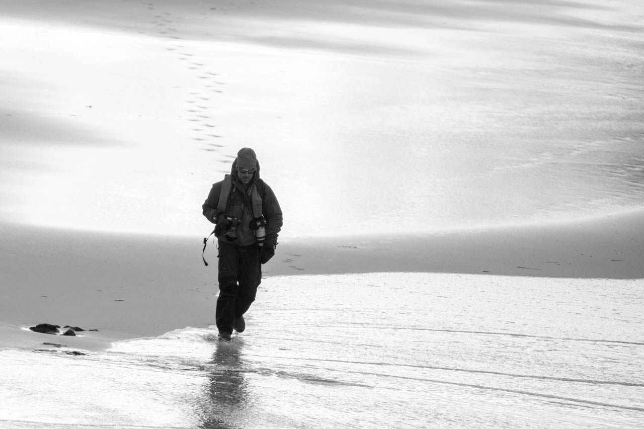 Day 20Saunders Island