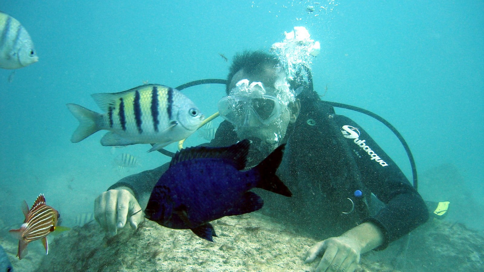 Diving and snorkeling in Cabo Verde Soul Tours Cabo Verde