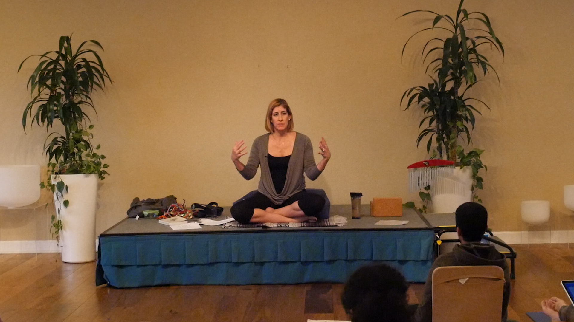 Course Set Stephani Sutherland Yoga Therapy for Neuroscience Complete
