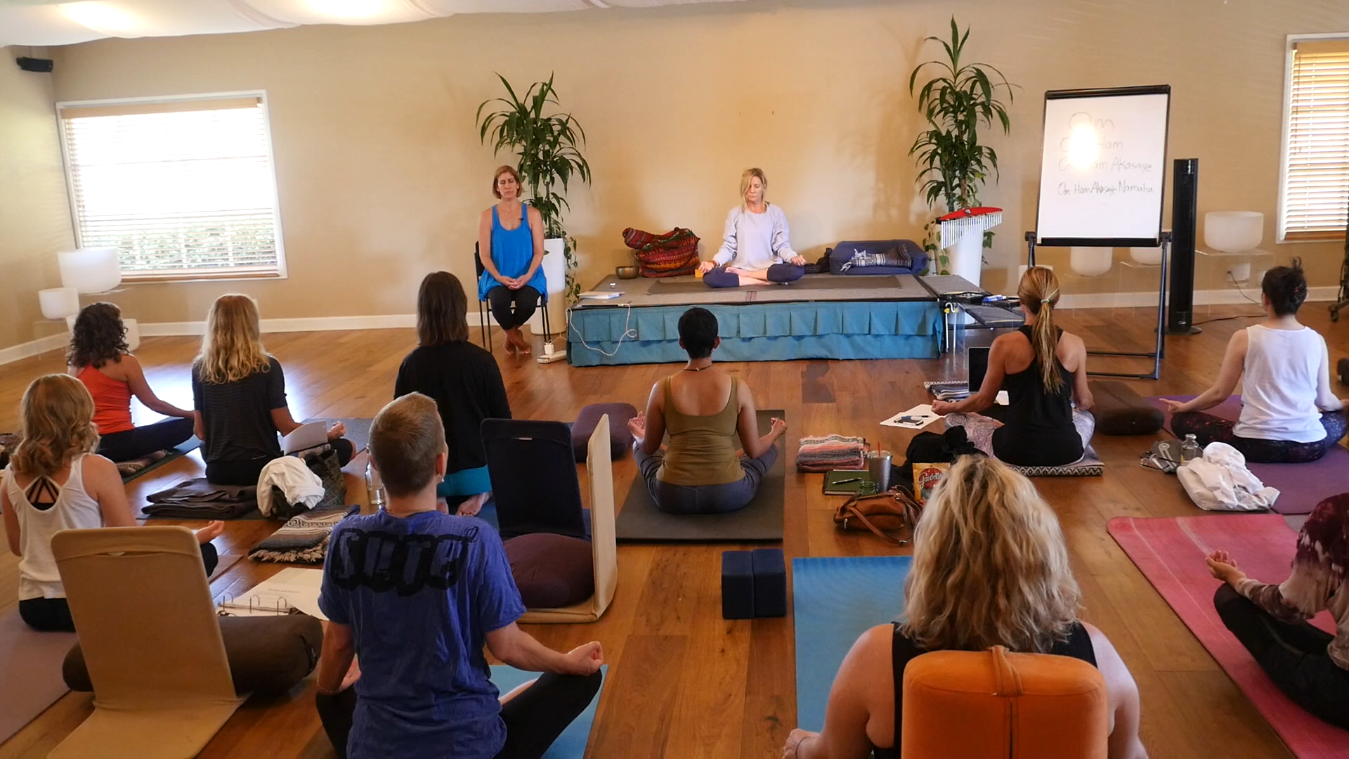 Course Yoga Therapy for the Nervous System The Senses and Sound
