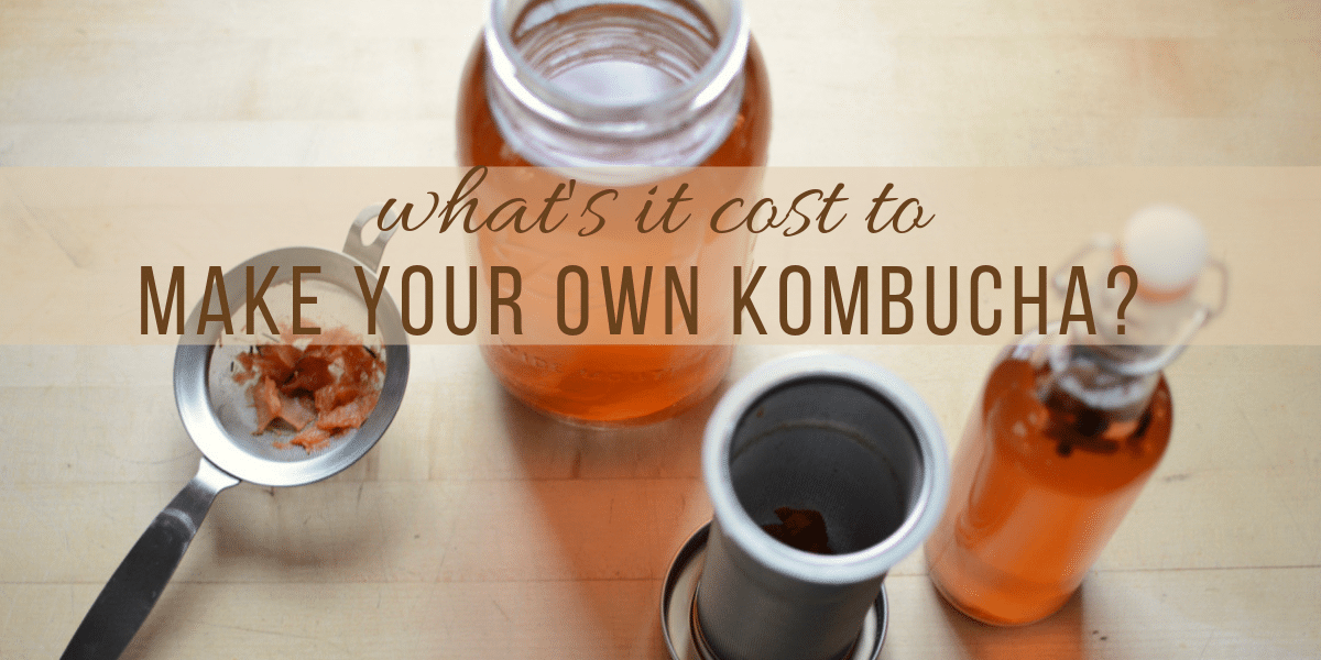 DIY Kombuchawhat’s it really cost? Souly Rested