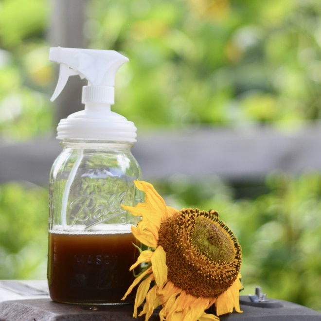Organic Bug Spray for your Garden » SoulyRested